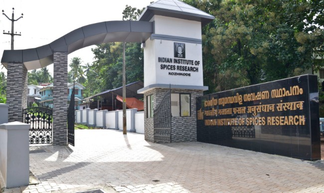 indian institute of spices research kozhikode trainee recruitment 2025