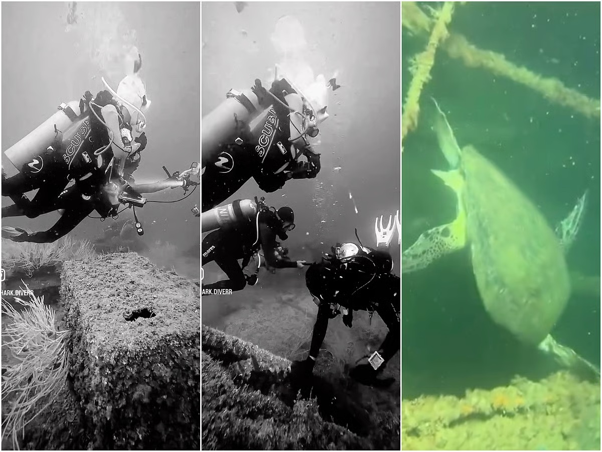 The Hidden Story Behind the Sinking of Three Ships Near Khorfakkan UAE