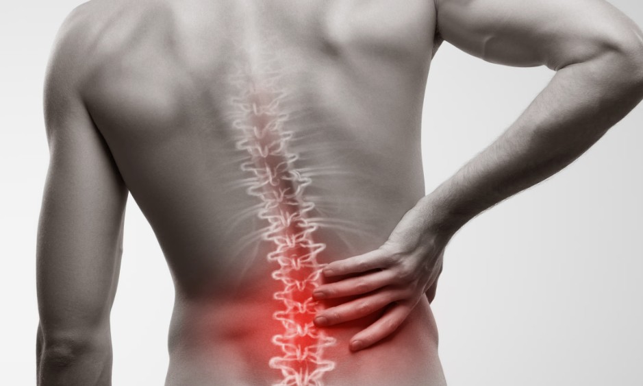 How to Prevent Back Pain from Long Office Hours