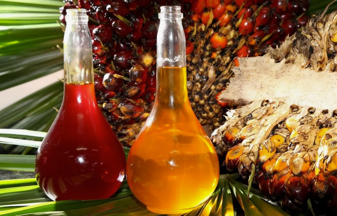 Is Palm Oil Healthy Understanding the Truth Behind the Popular Cooking Oil
