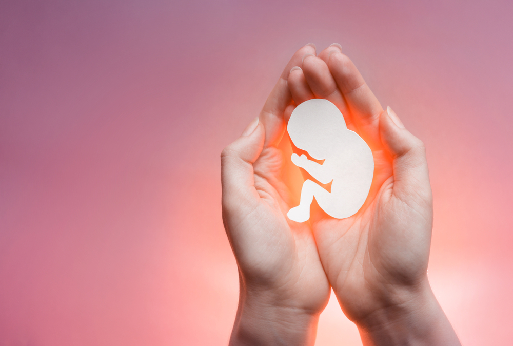 significant rise in the number of abortions in kerala HMIS report