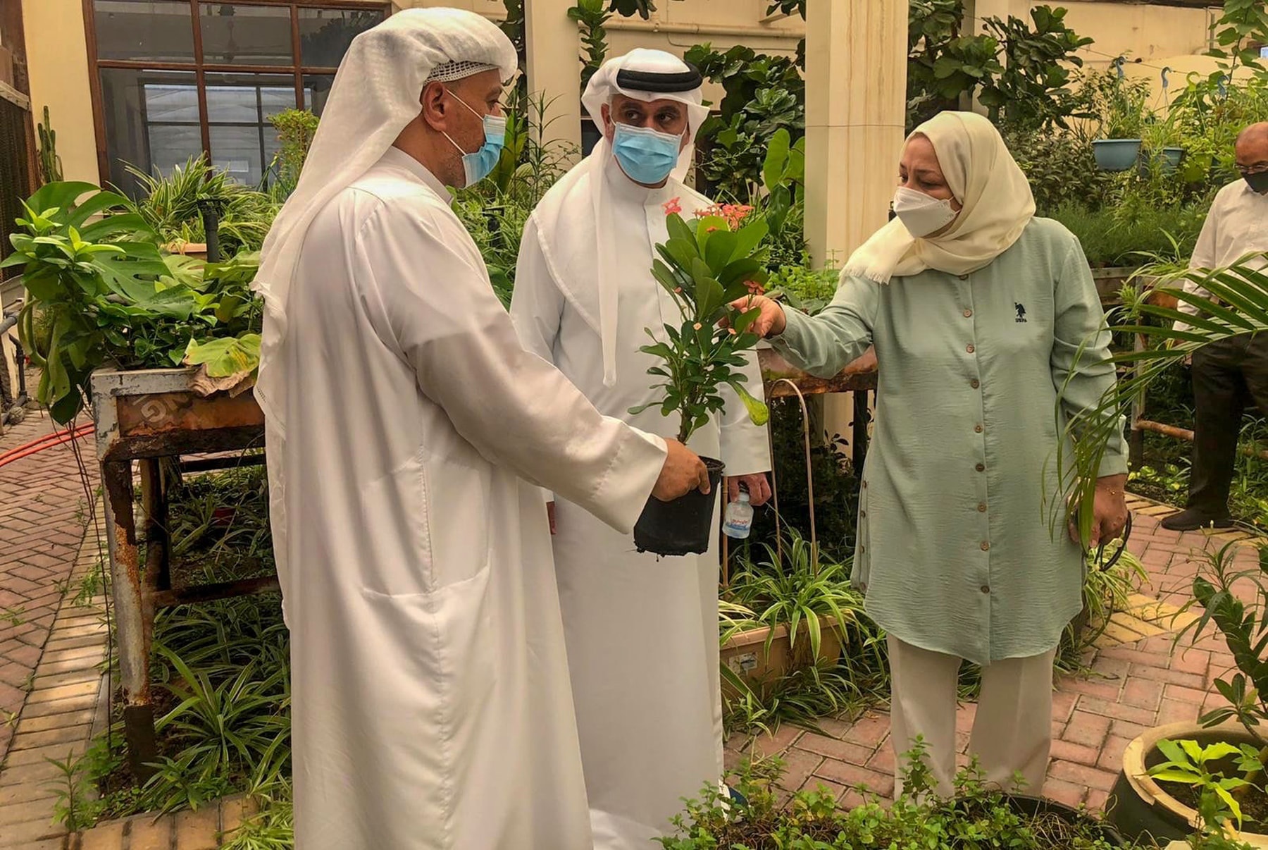 Hydroponic farming system in Bahrain homes proposed