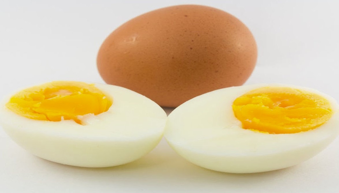 egg.jpg