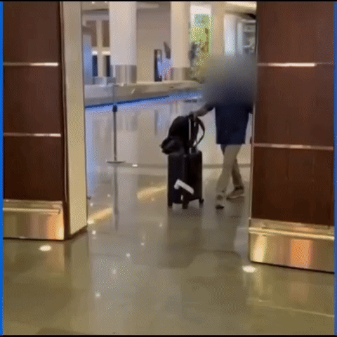 Indian traveler arrested for smuggling marijuana at Muscat International Airport