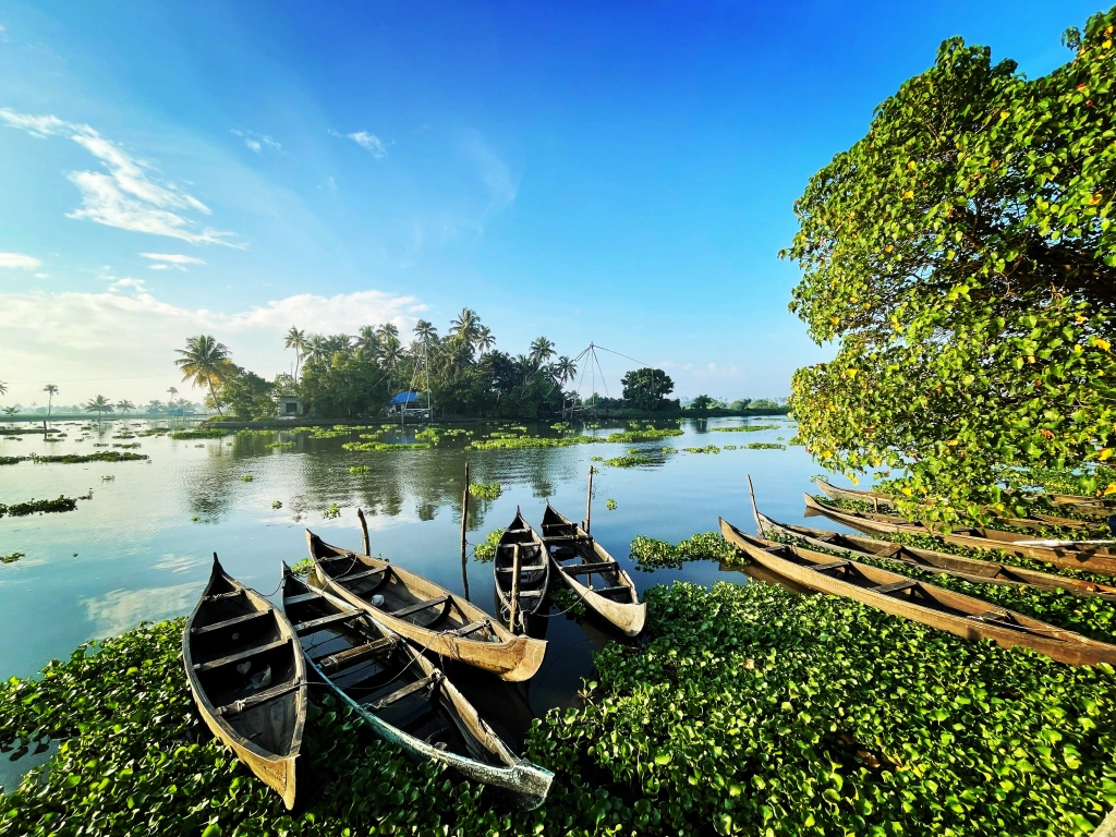 Discover Kadamakudy Hailed as Earths Most Beautiful Village by Anand Mahindra