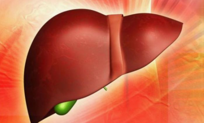 Liver Health Everyday Foods That Help Protect Your Liver
