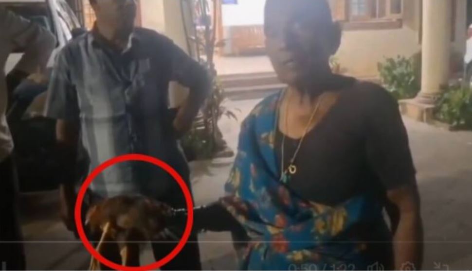 Viral Video Elderly Woman Files Complaint Against Neighbor for Attacking Her Chicken