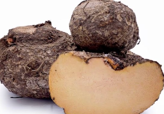Grow Yam at Home Everything You Need to Know About Cultivating Chena
