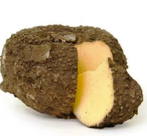 chenA.jpg