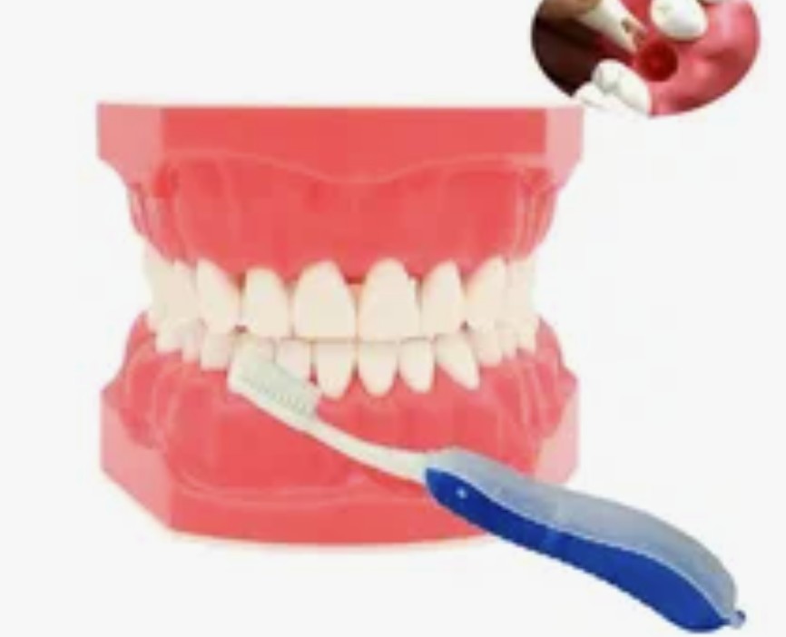 Foods That Harm and Help Your Teeth What to Eat and What to Avoid for Dental Health