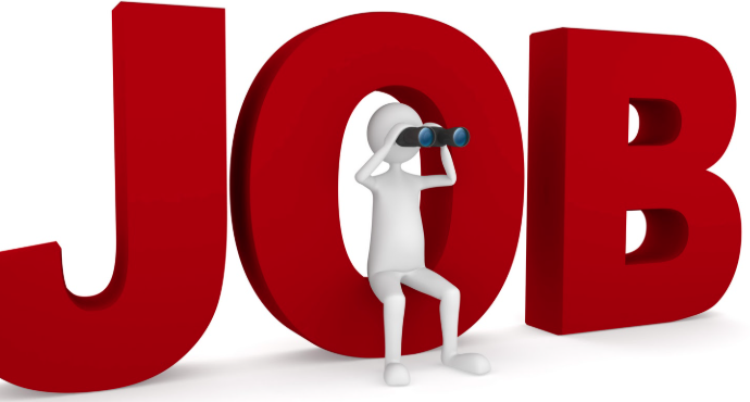 Vacancies in Animal Husbandry Department and Thiruvananthapuram RCC Opportunity to Get a Job Through Interview