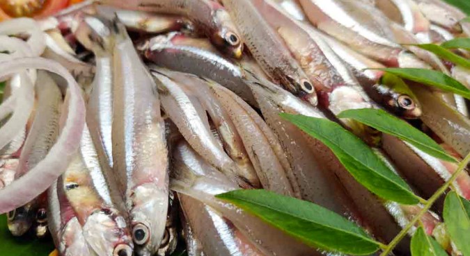 How to Clean Anchovies Netholi Easily Without a Knife or Scissors Quick and Simple Hack