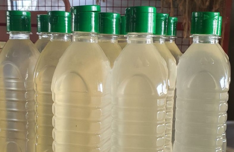 statewide inspection to curb adulteration in coconut oil as prices rise