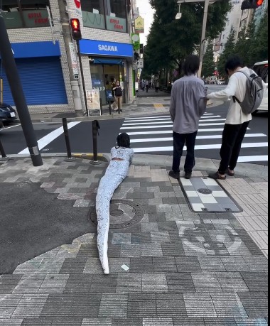 Viral Video of Brazilian Influencer Dressed as Giant Snake Sparks Controversy in Japan