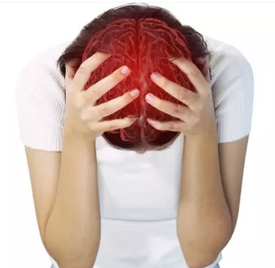 head2.jpg
