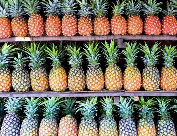  Is Pineapple Good for You The Sweet Truth Behind This Tropical Fruit