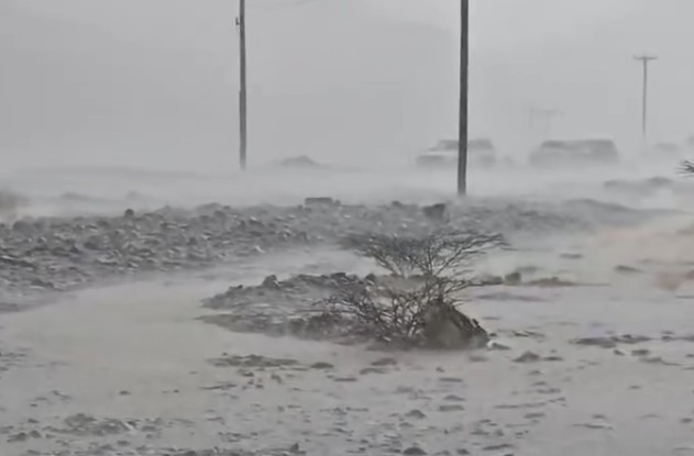 Rain Continues in Al Ain Heavy Showers Expected Tomorrow