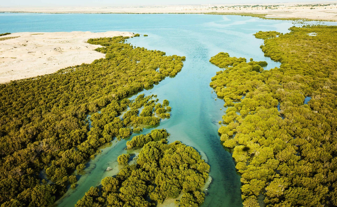 Ministry of Environment and Climate Change has issued guidelines for those traveling to eco-friendly areas in Qatar