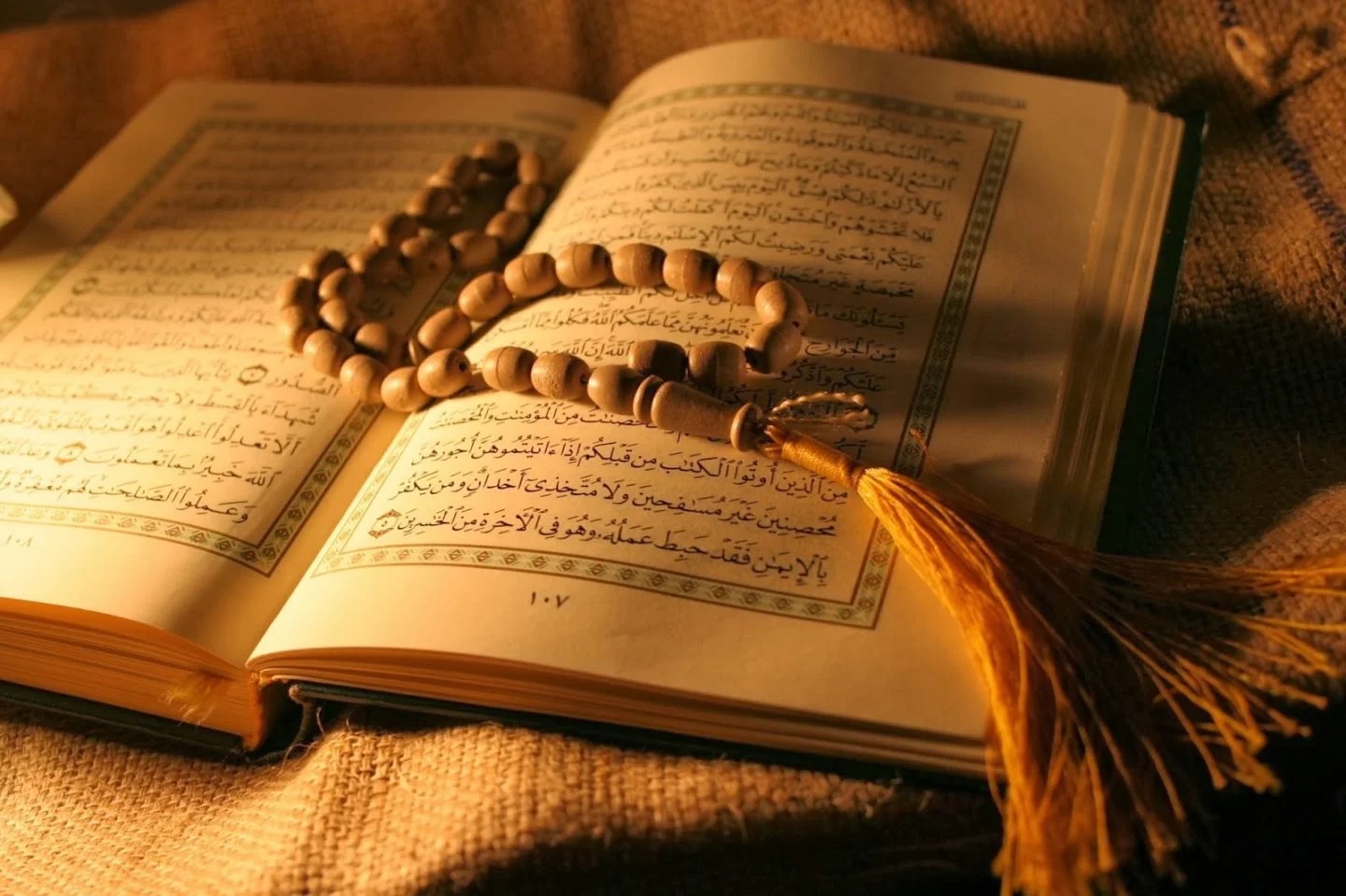 kozhikode grant mawlid on august 24