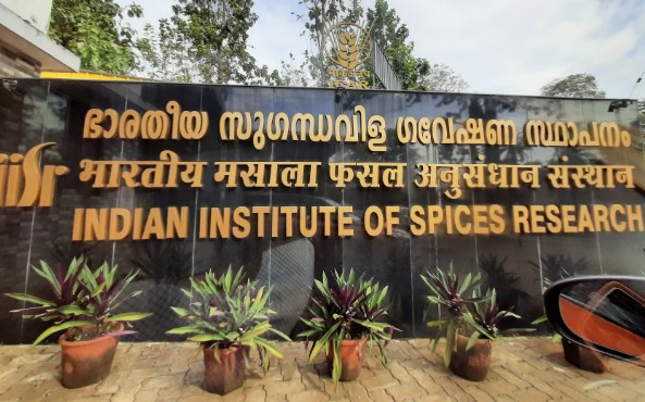 phd in icar-Indian institute of spices researchkozhikod