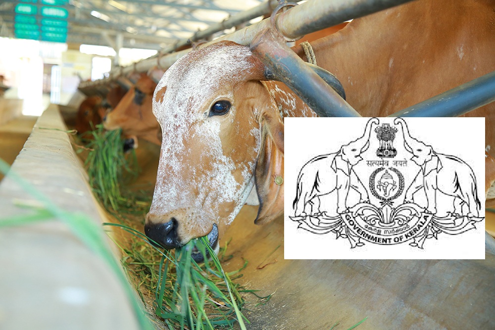 special job recruitment under animal husbandry department opening salary 50000