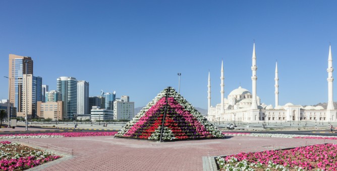 gulf-job-vacancies-december-driver-assistant-helper apply now