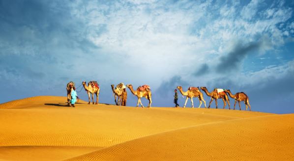 multiple gulf job vacancies including cashier technician painter and driver are available as of december 06