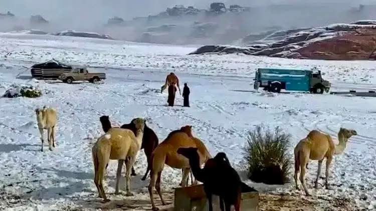 lowest temperature recorded in Saudi Arabia in the last forty years was in Hail