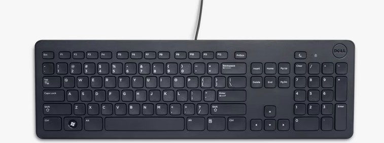 everyday household items that carry the most germs