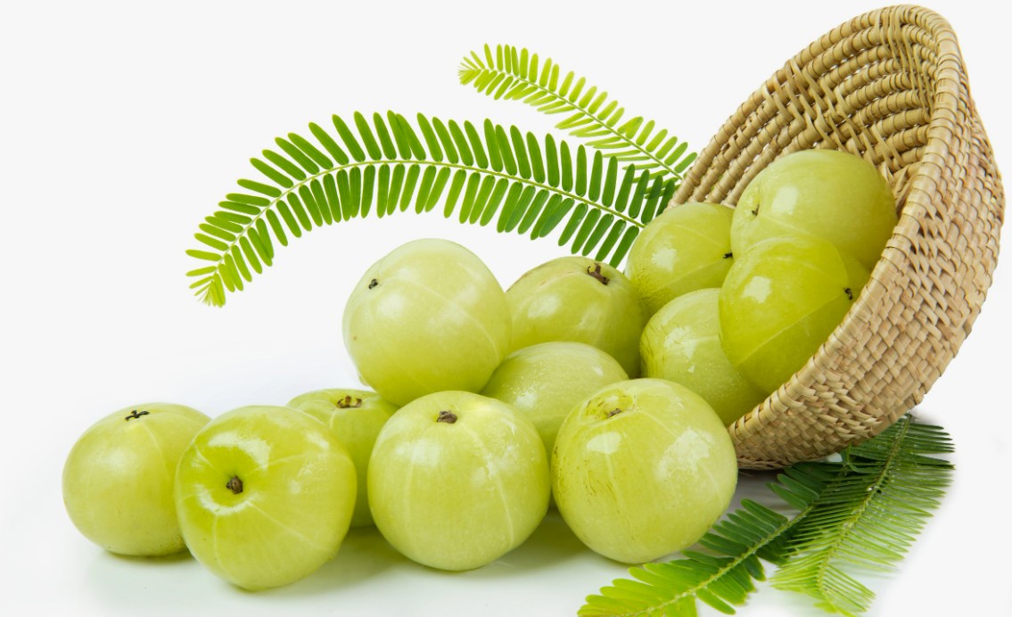 Why Amla Indian Gooseberry is Essential During Winter