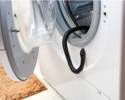 how to prevent snakes and reptiles from entering home appliances