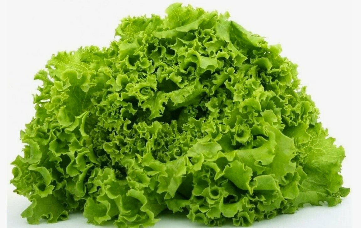 simple tips to keep lettuce fresh for longer