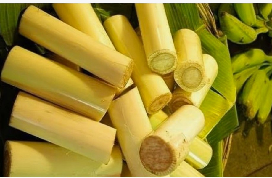 banana stem helps prevent kidney stones