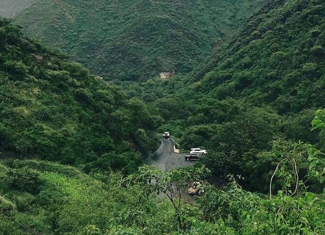 saudi nwc madinah reforestation sgi 2026 update