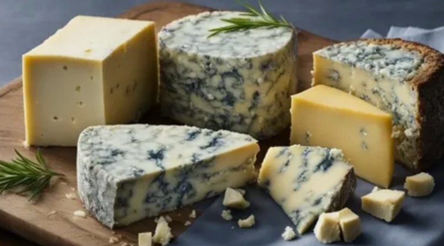 the mystery of blue cheese why people love moldy cheese