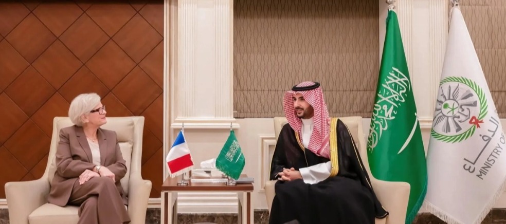 saudi defense minister meets french armed forces minister riyadh